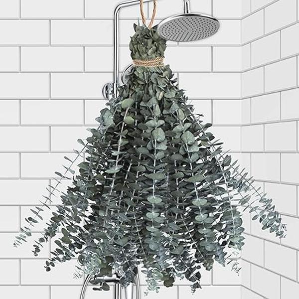 11 PCS Real Dried Eucalyptus Stems for Shower Hanging-17'' Large Preserved Eucalyptus Shower Plants Shower Stuff for Shower Decor, Fresh Eucalyptus Leaves, Fragrance, Bathroom Vase Decor Decorative Fruit Leaf Bouquet Farmhouse Gift