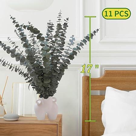 11 PCS Real Dried Eucalyptus Stems for Shower Hanging-17'' Large Preserved Eucalyptus Shower Plants Shower Stuff for Shower Decor, Fresh Eucalyptus Leaves, Fragrance, Bathroom Vase Decor Decorative Fruit Leaf Bouquet Farmhouse Gift