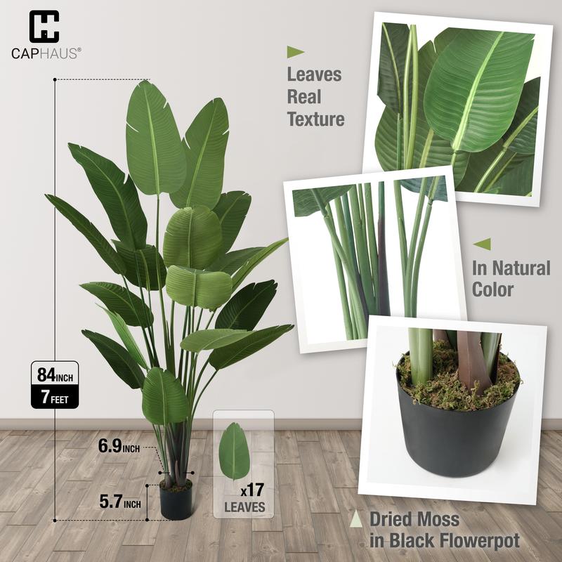 CAPHAUS Artificial Bird of Paradise, Premium UV Resistant Lifelike Fake Plant in Pot with Dried Moss for Office, Indoor Outdoor Use & Tropical Home Décor, Available Size in 4 ft., 5 ft., 6 ft. & 7 ft.