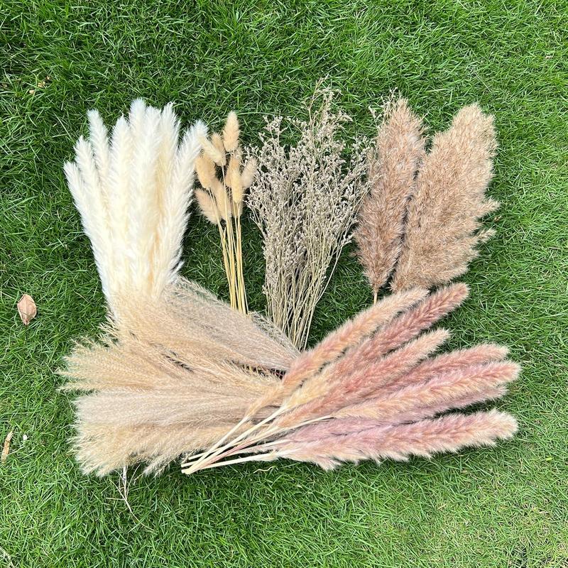 100Pcs Pampas Grass Boho Home Decor 17 inch Natural Dried Flowers-Pampas Grass Contains Bunny Tails White Pampas Brown Pampas.Boho Decor for Farmhouse Wedding Boho Wall Bathroom Office Kitchen-