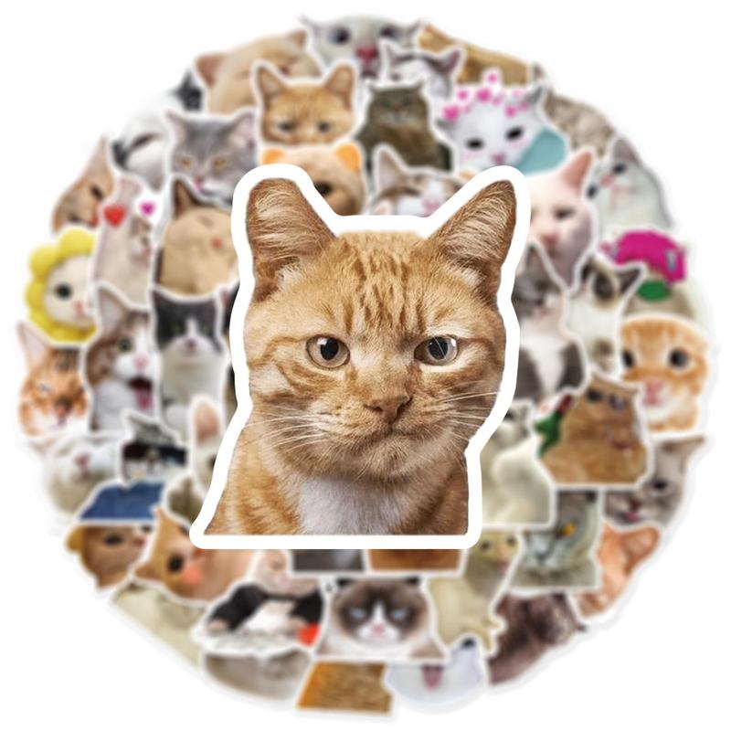 50pcs Cute Cartoon Cat Pattern Sticker, Funny Cat Animal Waterproof Cartoon Sticker, Decoration Sticker For Computer, Guitar, Bag, Water Cup, Scrapbook