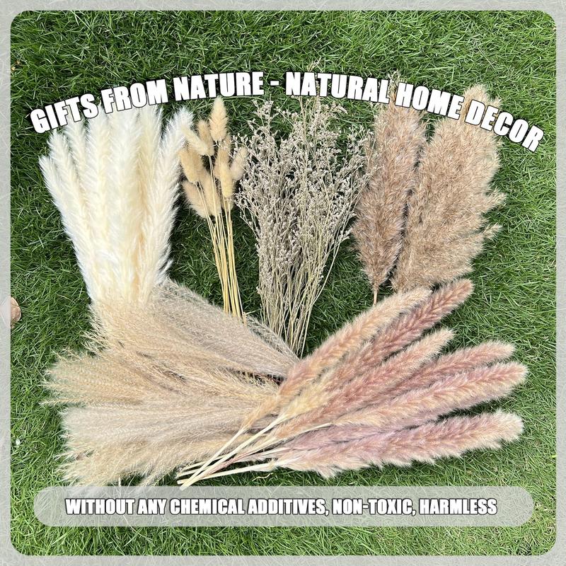 100Pcs Pampas Grass Boho Home Decor 17 inch Natural Dried Flowers-Pampas Grass Contains Bunny Tails White Pampas Brown Pampas.Boho Decor for Farmhouse Wedding Boho Wall Bathroom Office Kitchen-