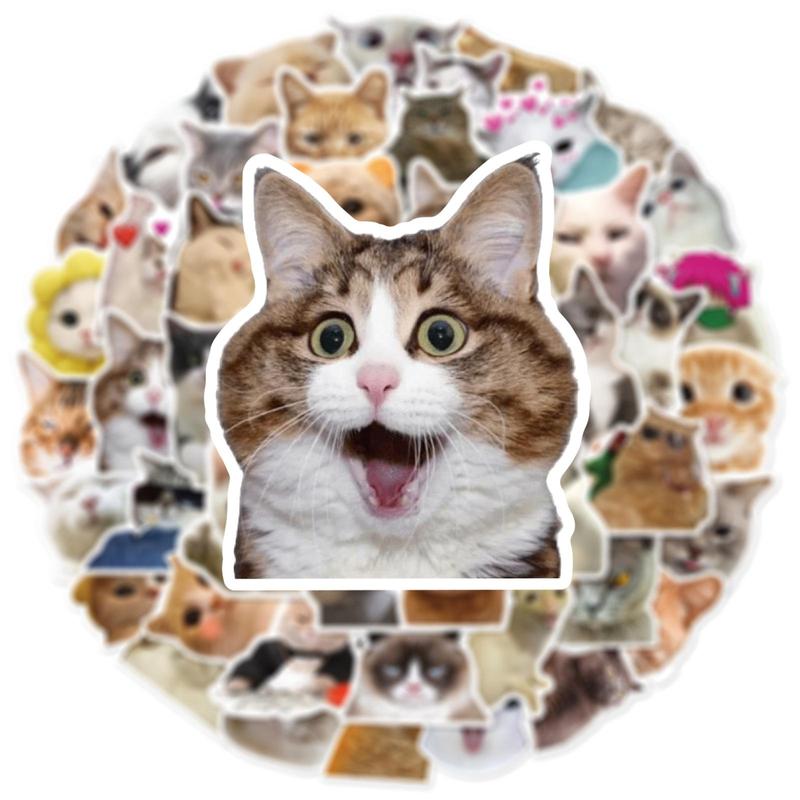 50pcs Cute Cartoon Cat Pattern Sticker, Funny Cat Animal Waterproof Cartoon Sticker, Decoration Sticker For Computer, Guitar, Bag, Water Cup, Scrapbook