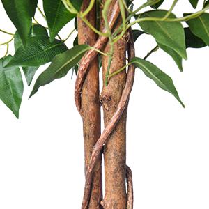 6ft Artificial Banyan Tree - Sturdy Plastic Pot Included - Indoor & Outdoor Decoration - Perfect Housewarming Gift