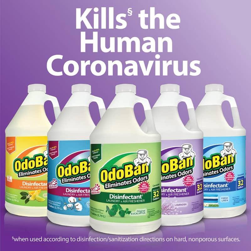 WL01 OdoBan 1 Gal. Citrus  and Odor Eliminator, Fabric Freshener,  Control, Multi-Purpose Cleaner Concentrate Household