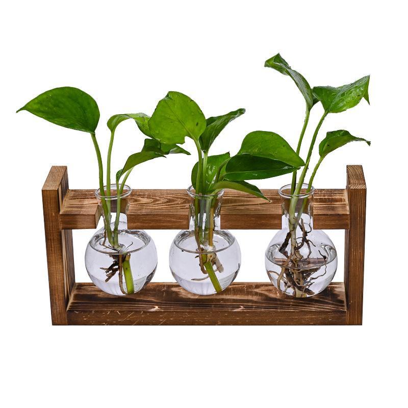 Wooden Frame Hydroponic Glass Bottle, 1 Count Creative Pothos Plant Glass Container, Desktop  Decoration Vase for Home Living Room Office