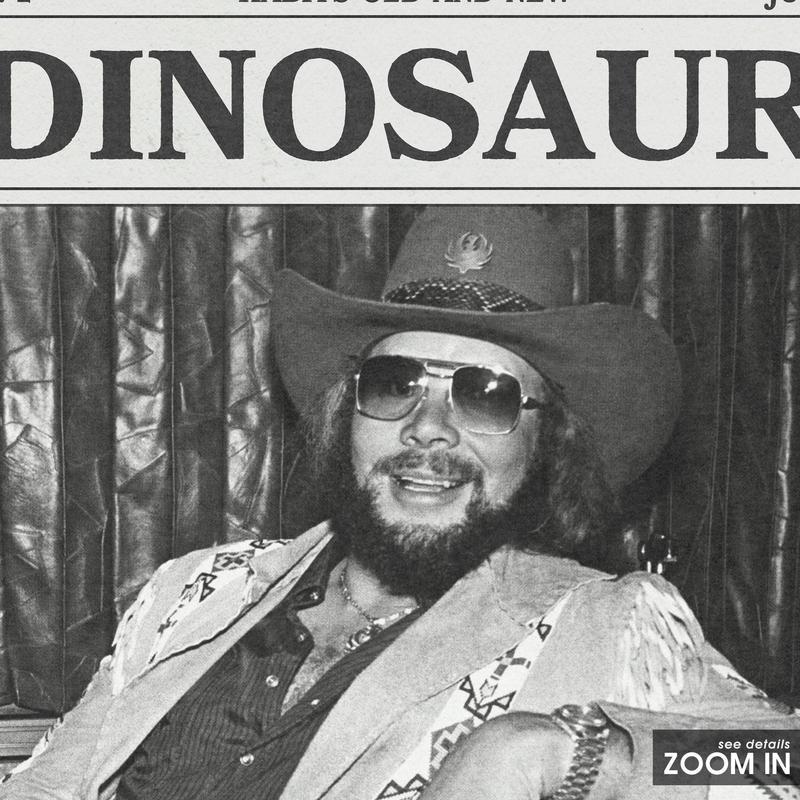 TECH Hank Williams Jr. Retro Newspaper Print, Dinosaur Poster No Frame, Lyrics Print, Hank Williams Jr. Poster, Habits Old And New Poster