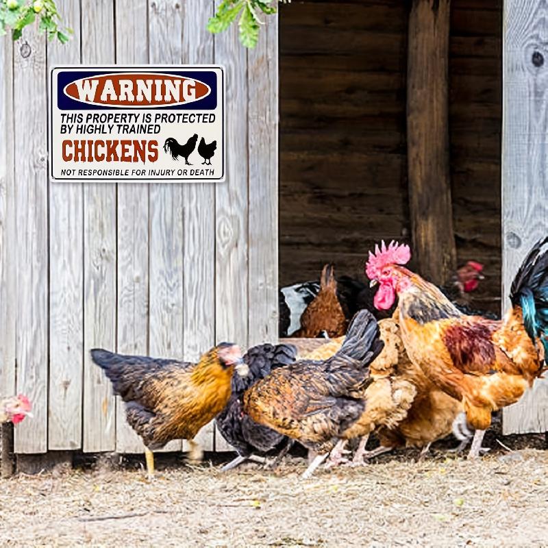 1 count Funny Chicken Sign - Humorous Protected Warning for Chicken Coop - Durable Outdoor Decor, Perfect for Farmyards