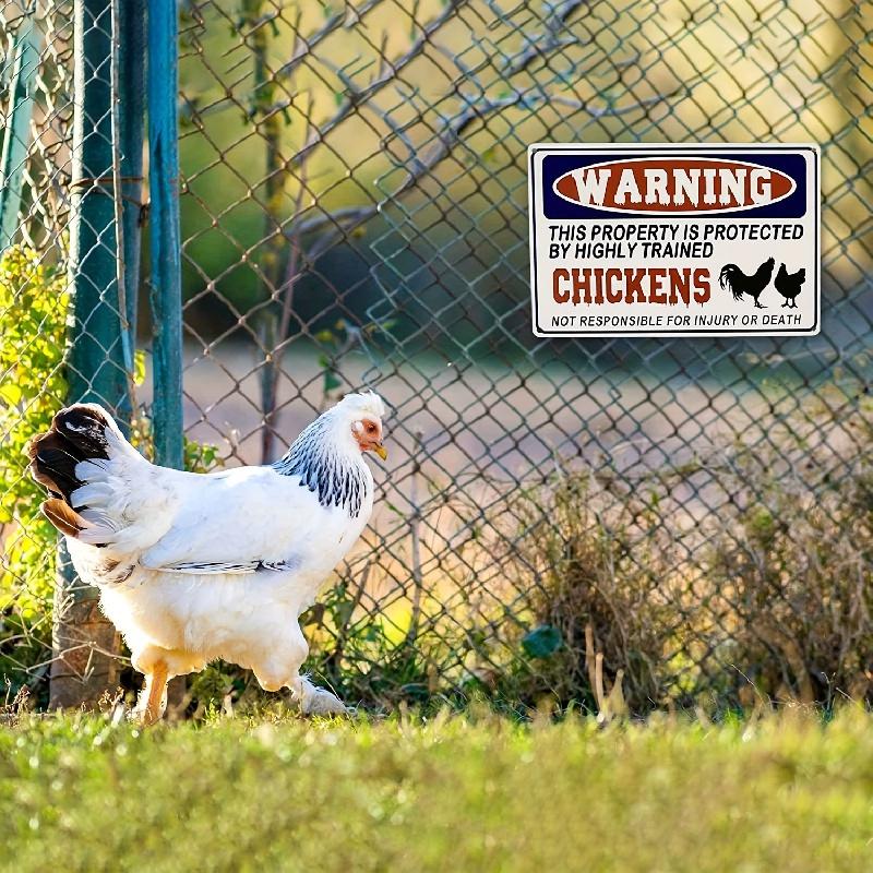 1 count Funny Chicken Sign - Humorous Protected Warning for Chicken Coop - Durable Outdoor Decor, Perfect for Farmyards