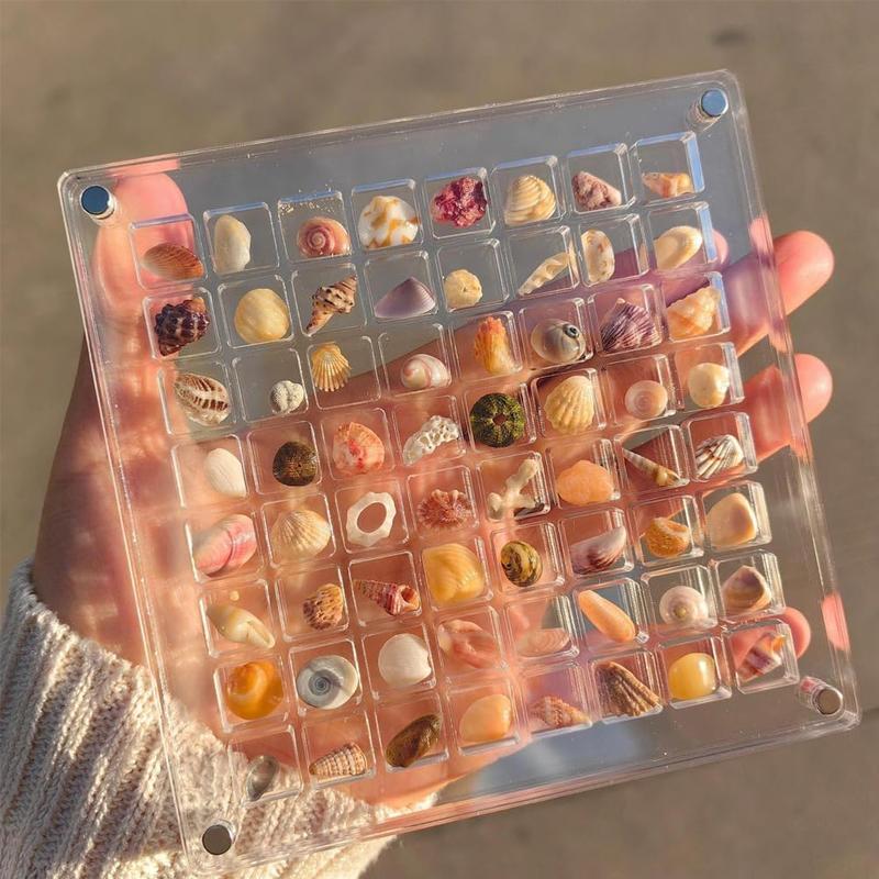 Acrylic Magnetic Seashell Display Box, Multi-grid Large Capacity Shell Storage Box with Lid, Multi-purpose Small Craft Storage Box, Display Box for Jewelry, Home Organizer