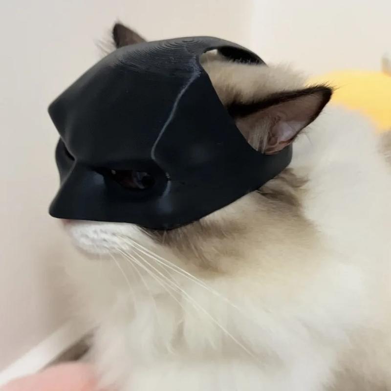 BatCat Cool Cat Mask Cat Superhero Mask Matte Cute Bat Mask Superhero Accessory for Kitties and Cats