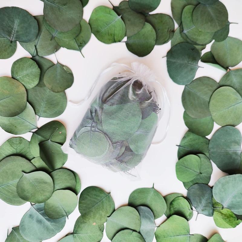 200pcs Real Eucalyptus Leaves for Shower Eucalyptus Leaves for Shower Fresh Shower Plants Preserved Petals Decoration Aisle Decoration Wedding Ceremony