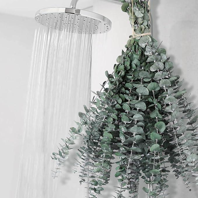 12 PCS Dried Eucalyptus Bundle for Shower - 17